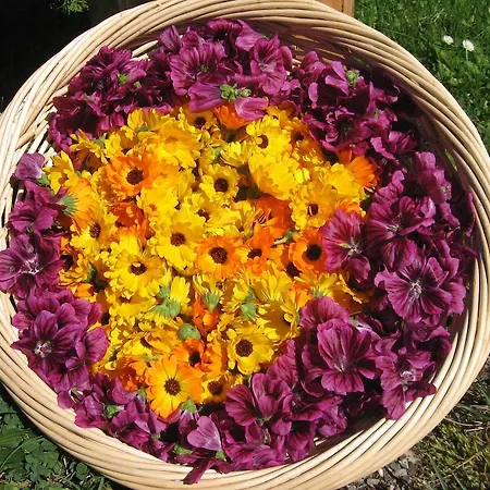 Lejlighed Bergbauernhof Untermoos Taxenbach