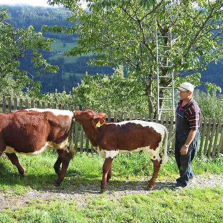 Lejlighed Bergbauernhof Untermoos