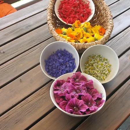 Bergbauernhof Untermoos Taxenbach