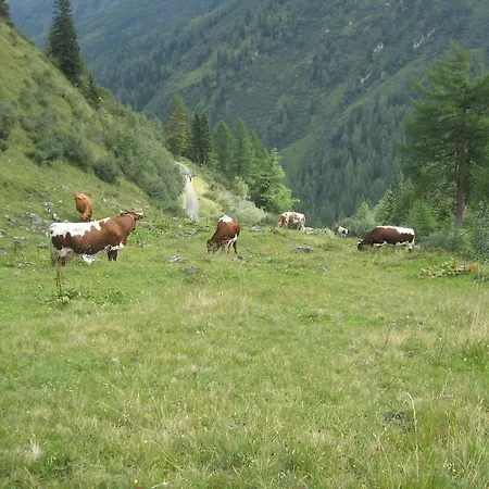 Lejlighed Bergbauernhof Untermoos