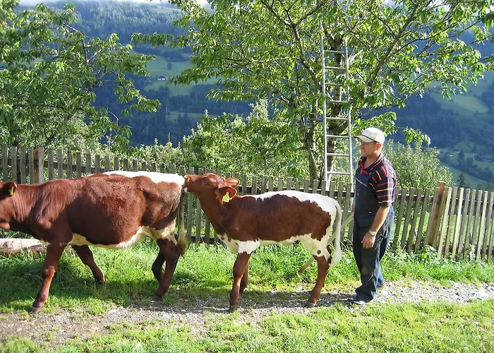 公寓 伯格霍夫乌特姆斯公寓